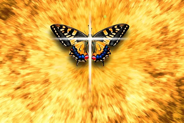 dead butterfly spiritual meaning and omens