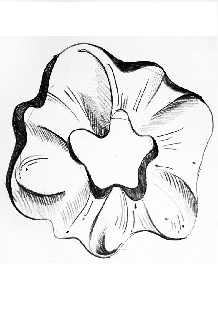 Scrunchie Drawing How to Draw a Scrunchie? Digest From Experts