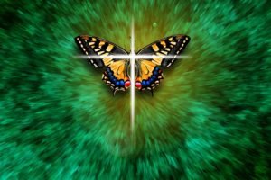 Butterfly Meaning In the Bible: What Does The Bible Say About Butterflies?