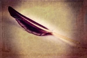 Black Feather Meaning In The Bible: What Does A Black Feather Symbolize Biblically?