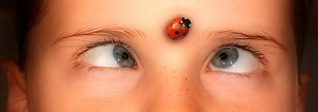 ladybug spiritual meaning death