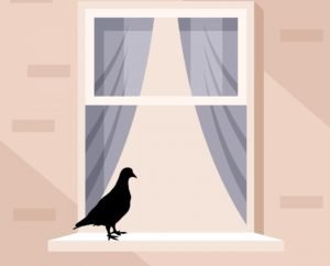 Bird Sitting On Windowsill Spiritual Meaning: What does it Symbolize?