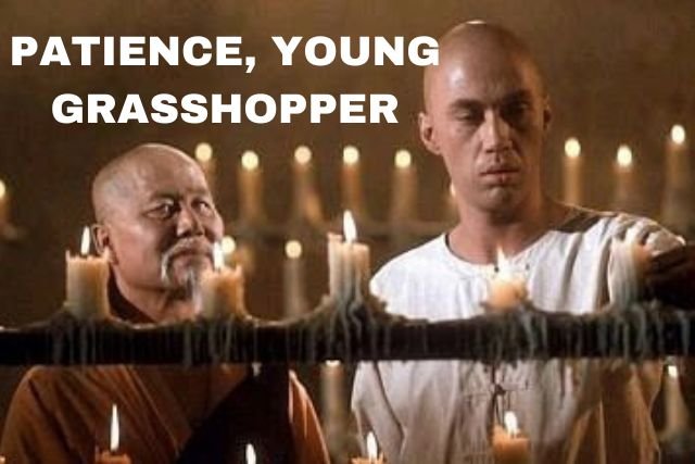 What does "Patience Young Grasshopper" mean? Origin & Usage